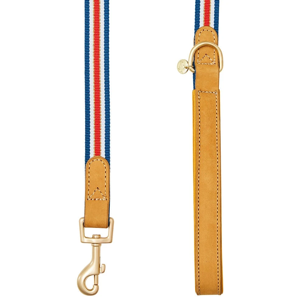 Dogs & Cats & Co. A La Mode Dog Leash For Stylish Pets 3 Dogs & Cats & Co. A La Mode Dog Leash For Stylish Pets - Image 3