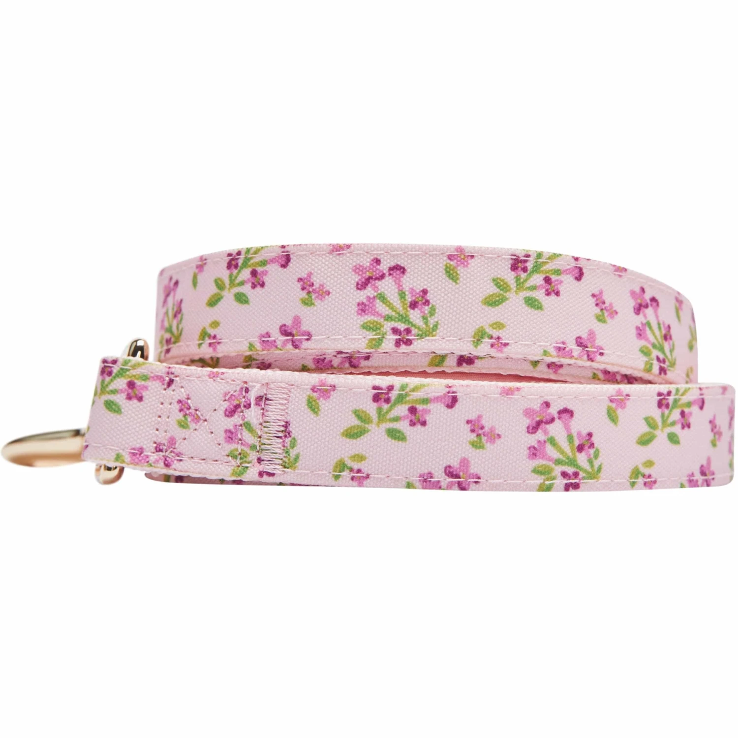 Dogs & Cats & Co. Flower Power Canvas Dog Leash - Stylish Design 6 Dogs & Cats & Co. Flower Power Canvas Dog Leash - Stylish Design - Image 6
