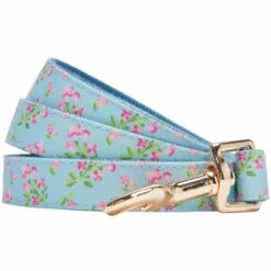 Dogs & Cats & Co. Flower Power Canvas Dog Leash - Stylish Design 12 Dogs & Cats & Co. Flower Power Canvas Dog Leash - Stylish Design -Dog & Cat Store 1050749044 1 a3286716 f99b 4abb 9af2 7dc520ffc841