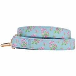 Dogs & Cats & Co. Flower Power Canvas Dog Leash - Stylish Design 13 Dogs & Cats & Co. Flower Power Canvas Dog Leash - Stylish Design -Dog & Cat Store 1050749044 2 78f07375 d619 4325 b127 c16b6b2b44c7