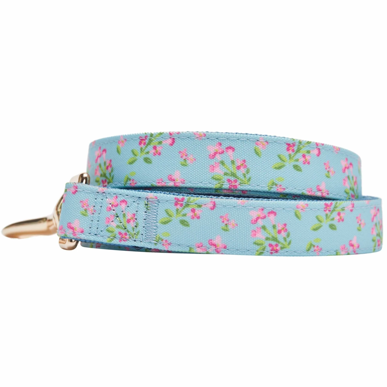 Dogs & Cats & Co. Flower Power Canvas Dog Leash - Stylish Design 4 Dogs & Cats & Co. Flower Power Canvas Dog Leash - Stylish Design - Image 4