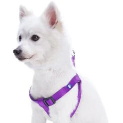 Classic Solid Color Adjustable Dog Harness, Purple Design 19 Classic Solid Color Adjustable Dog Harness, Purple Design -Dog & Cat Store 1060159048 1 1 e2b00328 8bdf 4f88 9e98 59e63e2f6e0f