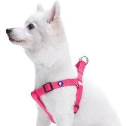 Classic Solid Color Adjustable Dog Harness Pink Red -Dog & Cat Store 1060161041 1 1 7829c742 a25e 49a1 a5e1 84b3176c1093