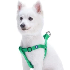 Classic Solid Color Adjustable Dog Harness, Green For Pets -Dog & Cat Store 1060162048 1 1 55213186 10d4 43ee ba67 47deaed58f9a