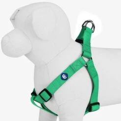 Classic Solid Color Adjustable Dog Harness, Green For Pets -Dog & Cat Store 1060162048 2 1 0ed3a390 9506 4a0a abcd 933b8cb4c617