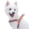 Nautical Flag Dog Harness For Summer Beach Sea Lovers -Dog & Cat Store 1060164042 1