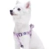Classic Solid Color Adjustable Dog Harness, Purple Design -Dog & Cat Store 1060167043 1 1