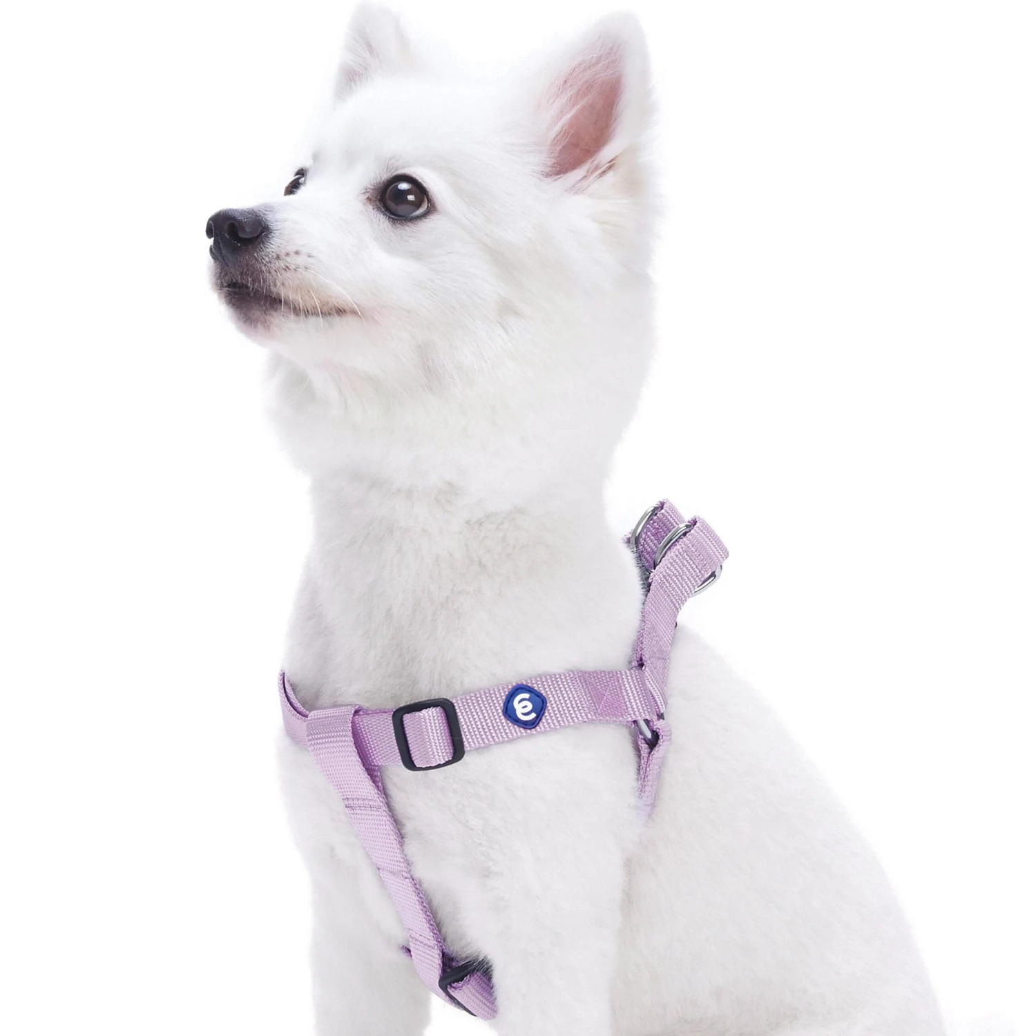 Classic Solid Color Adjustable Dog Harness, Purple Design 1 Classic Solid Color Adjustable Dog Harness, Purple Design