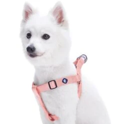 Classic Solid Color Adjustable Dog Harness Pink Red -Dog & Cat Store 1060168040 1 1 c3a3bb86 8f96 4361 a67c 3e5104932fbf