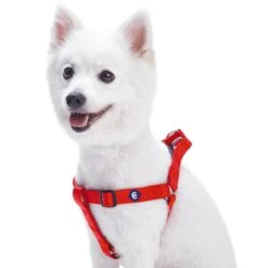 Classic Solid Color Adjustable Dog Harness Pink Red -Dog & Cat Store 1060169047 1 1 0f84cea8 fffa 42e2 a98a d0345acffa3a