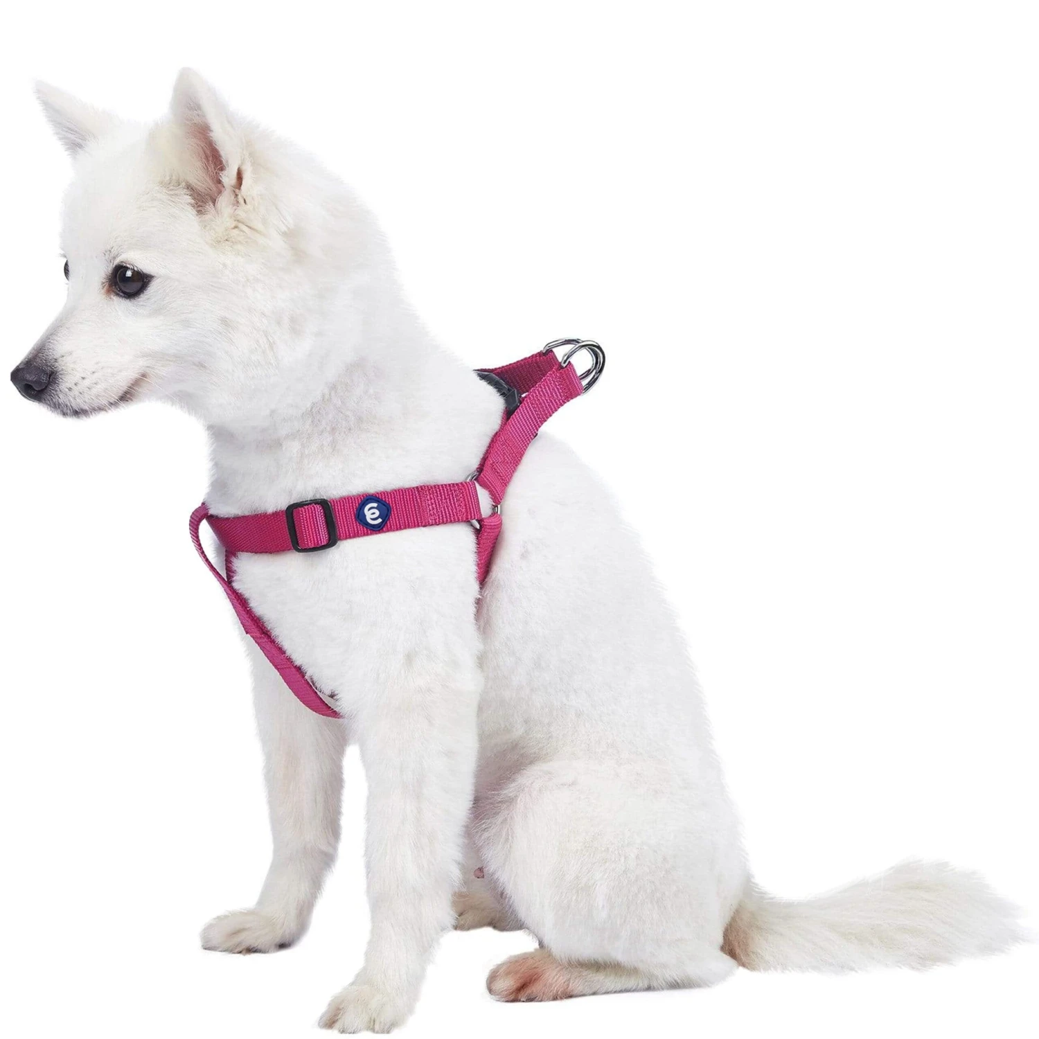 Classic Solid Color Adjustable Dog Harness, Purple Design 5 Classic Solid Color Adjustable Dog Harness, Purple Design - Image 5