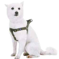 Classic Solid Color Adjustable Dog Harness, Green For Pets -Dog & Cat Store 1060175048 1 1 8918b41a 8c6b 4a4e 946d 08c5eaf055a5