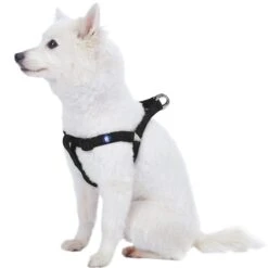 Classic Solid Color Adjustable Dog Harness, Black/Grey -Dog & Cat Store 1060178049 1 1