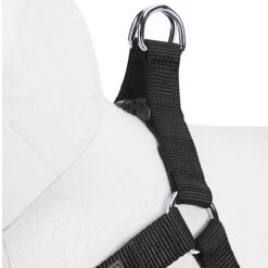Classic Solid Color Adjustable Dog Harness, Black/Grey -Dog & Cat Store 1060178049 3 1