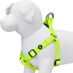 Classic Solid Color Adjustable Dog Harness, Green For Pets -Dog & Cat Store 1060180042 1 1 fd9eb294 abec 4adb b378 29bf6002bdf8
