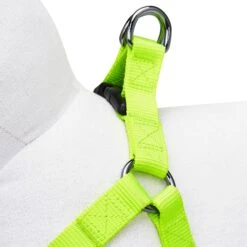 Classic Solid Color Adjustable Dog Harness, Green For Pets -Dog & Cat Store 1060180042 2 1 dd7d0c69 0e90 4921 bbf9 0c73c9dd8091