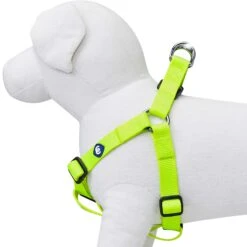 Classic Solid Color Adjustable Dog Harness, Green For Pets -Dog & Cat Store 1060180042 3 1 b6e6bb66 8827 44d8 a64d f215c3019bc7