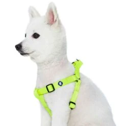 Classic Solid Color Adjustable Dog Harness, Green For Pets -Dog & Cat Store 1060180042 4 1 0e972120 58a4 47b8 ab8f 245de0140615