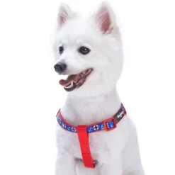 Nautical Dog Harnesses Anchors Sailboat Beach Navy Blue -Dog & Cat Store 1060201044 2