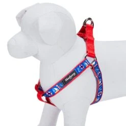 Nautical Dog Harnesses Anchors Sailboat Beach Navy Blue -Dog & Cat Store 1060201044 3