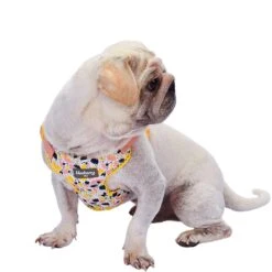Made Well Floral Dog Harness Vest For Stylish Pets
