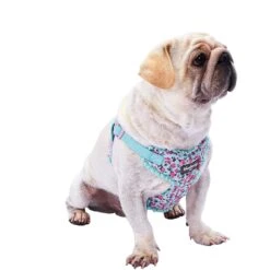 Made Well Floral Print Dog Harness Vest With Elegant Lace Trim -Dog & Cat Store 1060215027 1