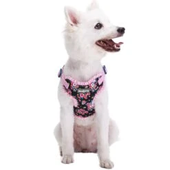 Made Well Floral Print Dog Harness Vest With Elegant Lace Trim -Dog & Cat Store 1060229024 1