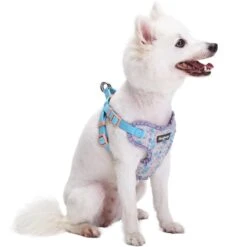Made Well Floral Print Dog Harness Vest With Elegant Lace Trim