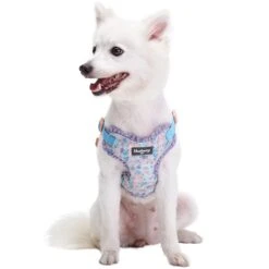 Made Well Floral Print Dog Harness Vest With Elegant Lace Trim -Dog & Cat Store 1060230020 2