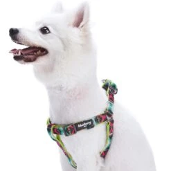 Southwestern Pattern Neoprene Padded Dog Harness For Pets 12 Southwestern Pattern Neoprene Padded Dog Harness For Pets -Dog & Cat Store 1060599042 1