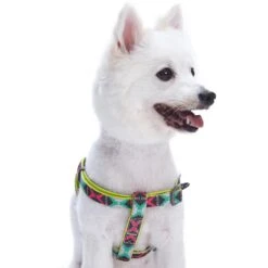 Southwestern Pattern Neoprene Padded Dog Harness For Pets 13 Southwestern Pattern Neoprene Padded Dog Harness For Pets -Dog & Cat Store 1060599042 2