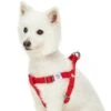 Dogs & Cats & Co. Classic Solid Color Dog Harness For Pets 22 Dogs & Cats & Co. Classic Solid Color Dog Harness For Pets -Dog & Cat Store 1060600045 2 b21ab2bb f5b4 462f b9e1 691db1f797c3