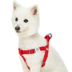 Dogs & Cats & Co. Classic Solid Color Dog Harness For Pets