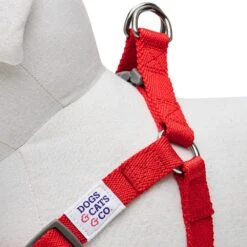 Dogs & Cats & Co. Classic Solid Color Dog Harness For Pets -Dog & Cat Store 1060600045 5 e4a6ff71 3b5a 4d57 aa13 4a1fe89aee6b
