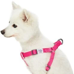 Dogs & Cats & Co. Classic Solid Color Dog Harness For Pets -Dog & Cat Store 1060602049 2 a8b358a2 24f6 4b07 8b1b 7bdc467614b3