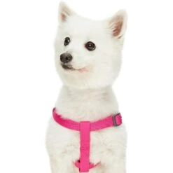Dogs & Cats & Co. Classic Solid Color Dog Harness For Pets -Dog & Cat Store 1060602049 3 cb8e526e a579 4715 916d 3e8a4c0ae4f5