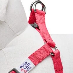 Dogs & Cats & Co. Classic Solid Color Dog Harness For Pets -Dog & Cat Store 1060603046 4 1b627239 4cb9 4818 b114 2804f15e08b0
