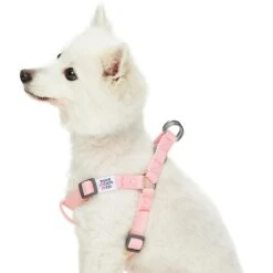 Dogs & Cats & Co. Classic Solid Color Dog Harness For Pets -Dog & Cat Store 1060604043 2 38bd564d 9a44 4710 8315 4a89071afd9f