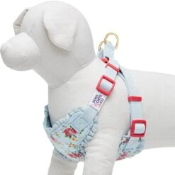 Dogs & Cats & Co. A Scent Of Spring Balloon Flower Dog Harness -Dog & Cat Store 1060622047 1