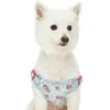 Dogs & Cats & Co. A Scent Of Spring Balloon Flower Dog Harness 7 Dogs & Cats & Co. A Scent Of Spring Balloon Flower Dog Harness -Dog & Cat Store 1060622047 2