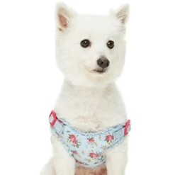 Dogs & Cats & Co. A Scent Of Spring Balloon Flower Dog Harness