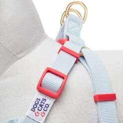 Dogs & Cats & Co. A Scent Of Spring Balloon Flower Dog Harness -Dog & Cat Store 1060622047 5