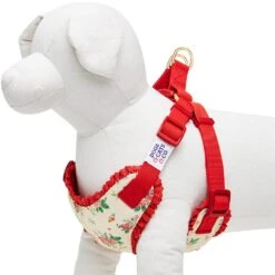 Dogs & Cats & Co. A Scent Of Spring Balloon Flower Dog Harness -Dog & Cat Store 1060623044 1