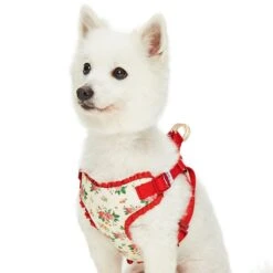 Dogs & Cats & Co. A Scent Of Spring Balloon Flower Dog Harness -Dog & Cat Store 1060623044 2 76a1e72f 3bb7 4a6d 97fe 4d8bc7ccb0dd