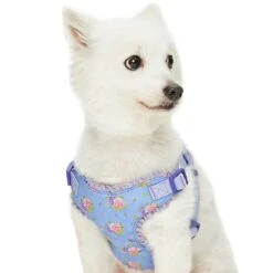 Dogs & Cats & Co. A Scent Of Spring Balloon Flower Dog Harness -Dog & Cat Store 1060624041 2 d9a0fe74 6019 49d9 8fbb 5705eaee0838