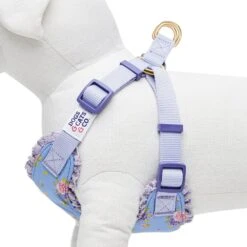 Dogs & Cats & Co. A Scent Of Spring Balloon Flower Dog Harness -Dog & Cat Store 1060624041 3 e1266f56 35fb 4ef0 96e9 9d84e5587a76
