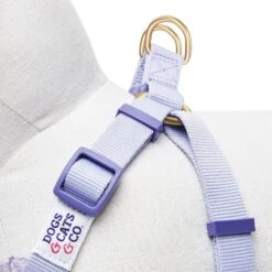 Dogs & Cats & Co. A Scent Of Spring Balloon Flower Dog Harness -Dog & Cat Store 1060624041 4 95dbd62c 29e6 44f3 bfe3 a030a62d042c