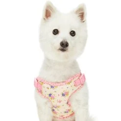 Dogs & Cats & Co. A Scent Of Spring Balloon Flower Dog Harness -Dog & Cat Store 1060625048 2