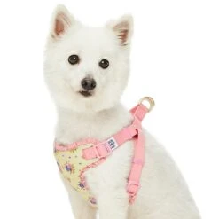 Dogs & Cats & Co. A Scent Of Spring Balloon Flower Dog Harness -Dog & Cat Store 1060625048 3