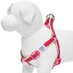Dogs & Cats & Co. In The Night Dog Harness For Safety 37 Dogs & Cats & Co. In The Night Dog Harness For Safety -Dog & Cat Store 1060627042 1 2